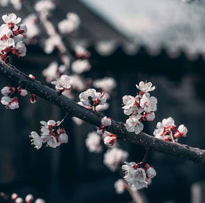 Meet your Posher, Breanna